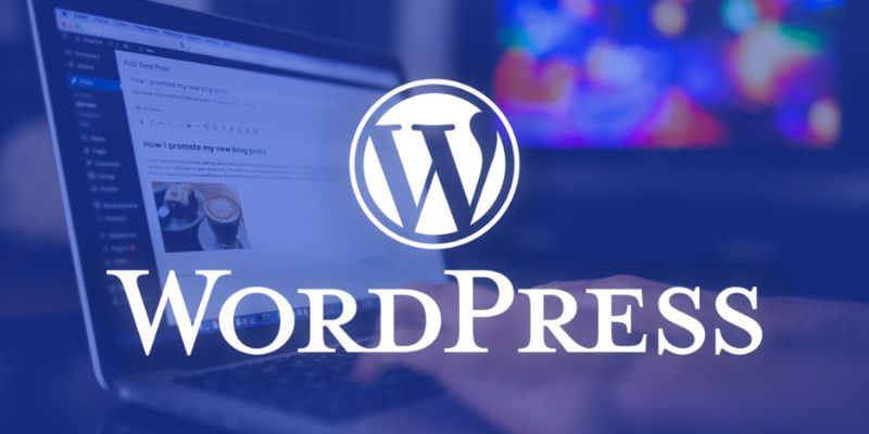 WordPress là hệ thống quản lý nội dung ̣̣(CMS) dựa trên ngôn ngữ lập trình PHP và MySQL.