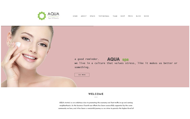 mẫu website Aqua