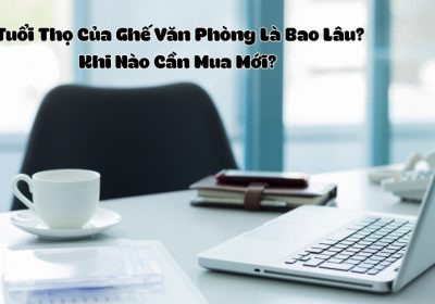 Tuổi Thọ Của Ghế Văn Phòng Là Bao Lâu? Khi Nào Cần Mua Mới?