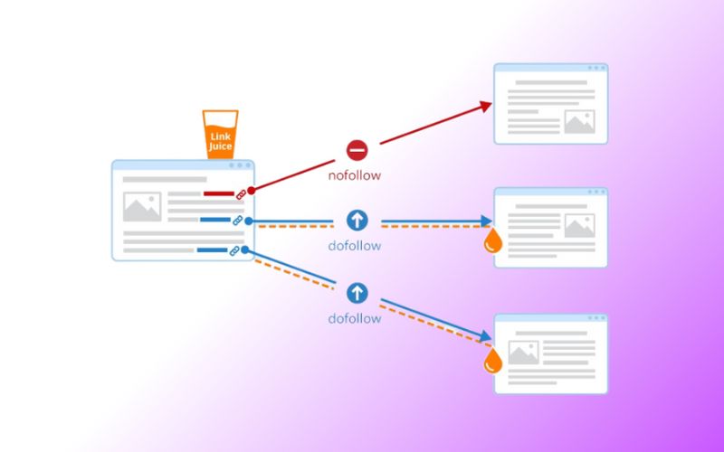 backlink quan trọng với seo